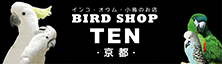 京都の小鳥店（インコ、オウム、小鳥）｜BIRD SHOP TEN